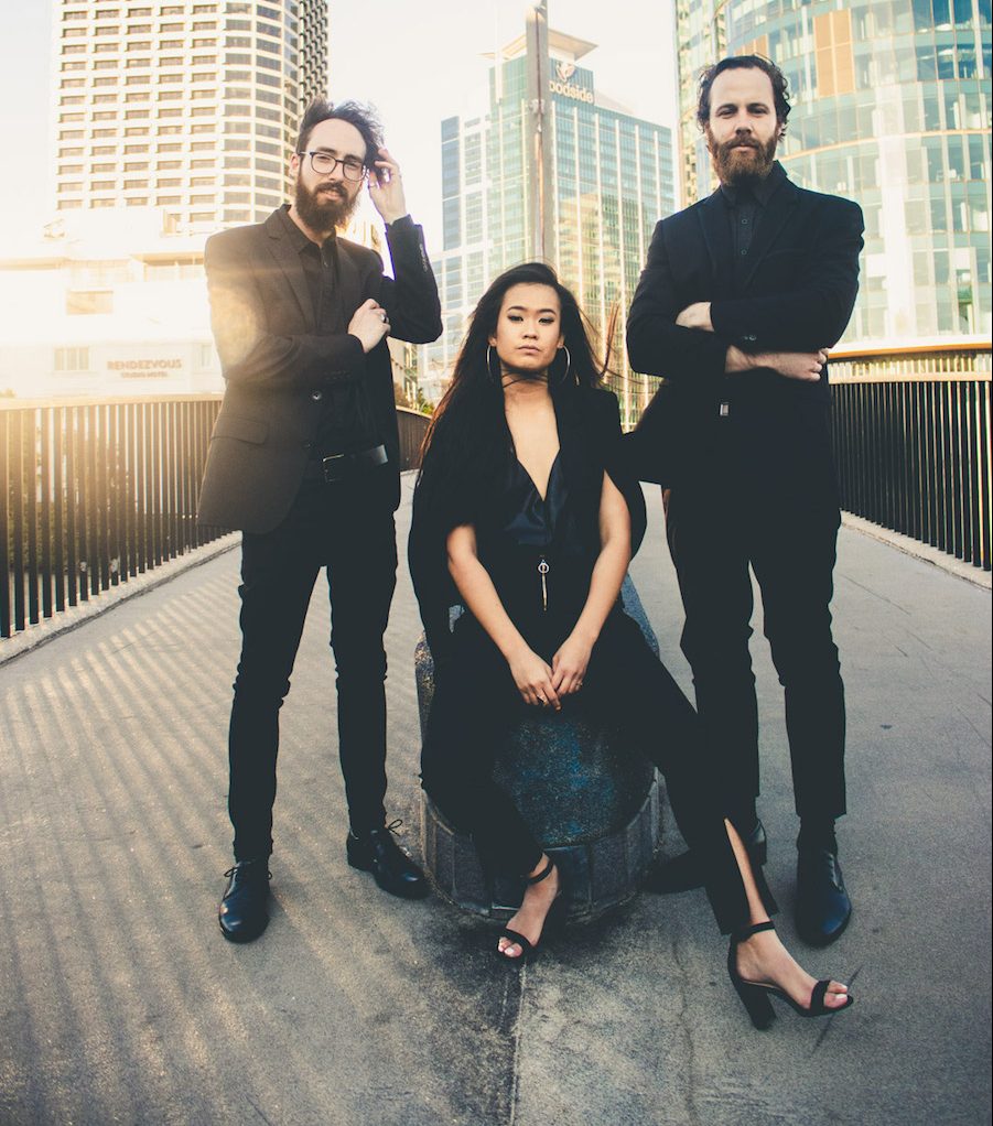 3 Face, musical trio in Perth, photo 2