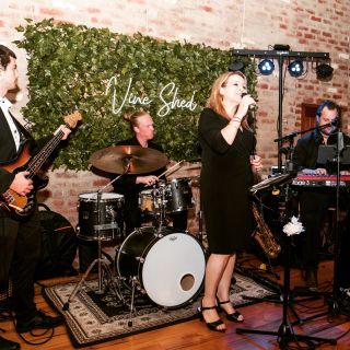 Party Club Band, cover band in Adelaide