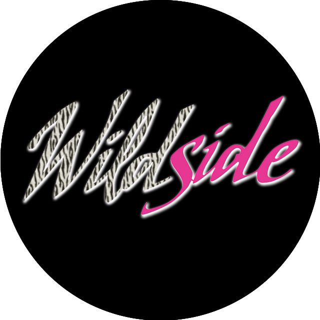 Wildside, cover band in Adelaide