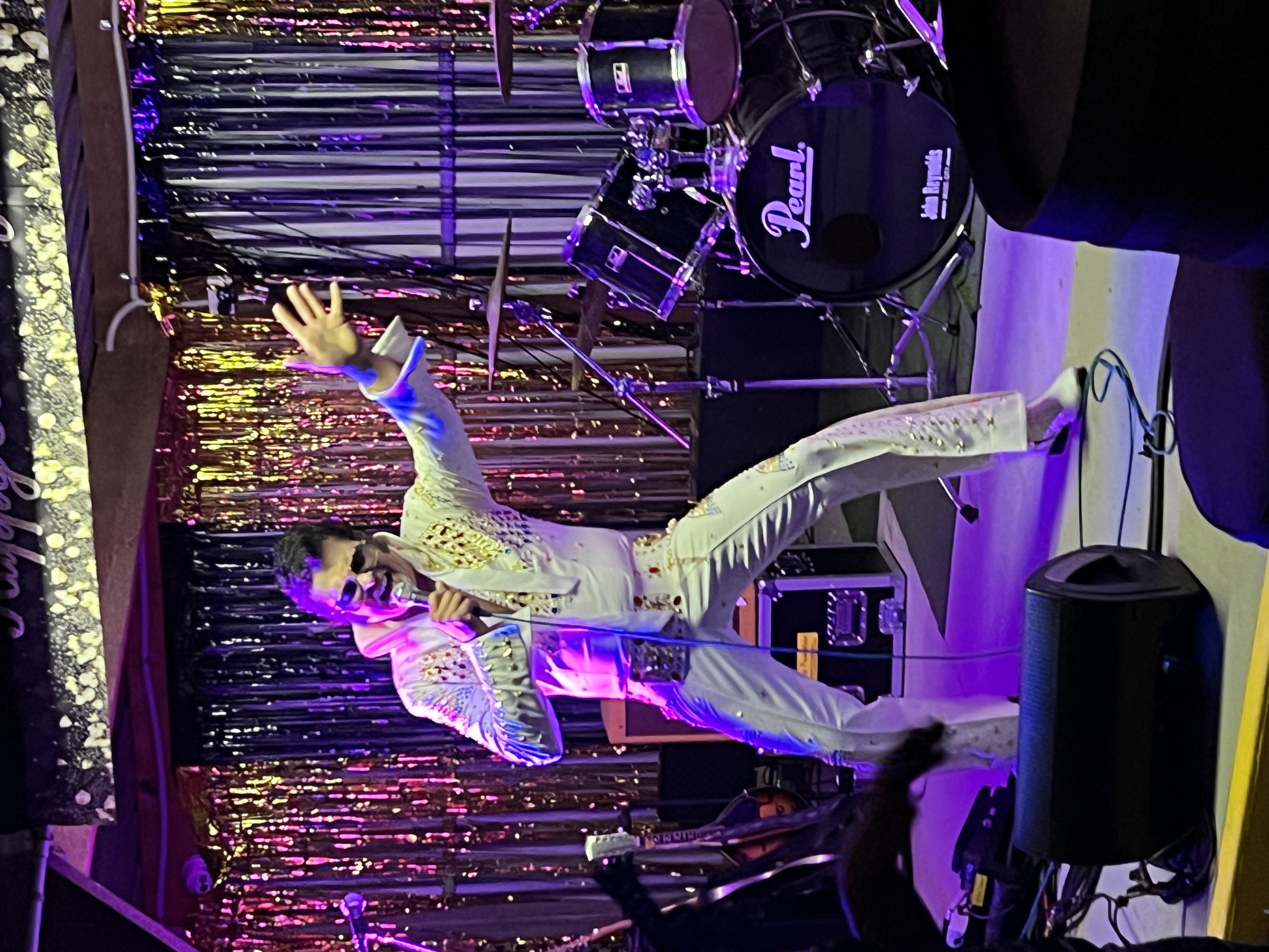 StewVis, tribute singer in Adelaide
