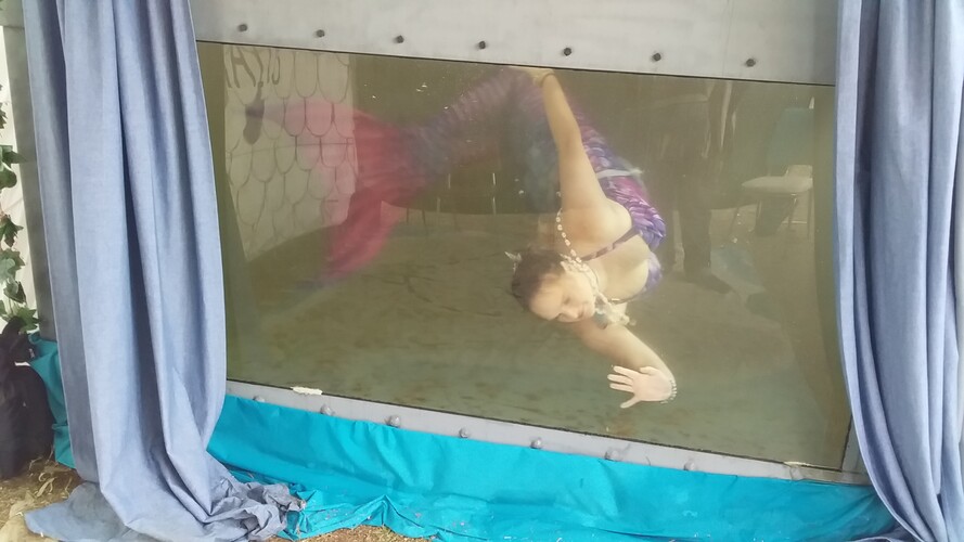 Mermaid Magic, mermaid costume character in Adelaide, photo 3
