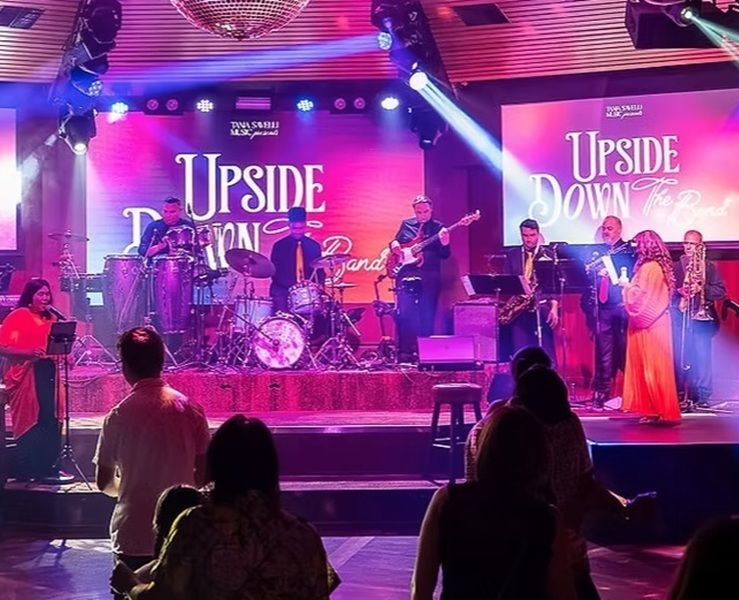 Upside Down The Band, party band in Adelaide, photo 2
