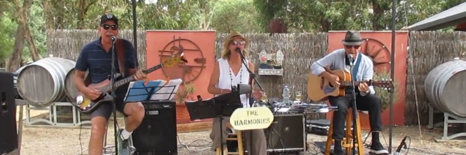The Harmonies Band, cover band in Ballarat, photo 3