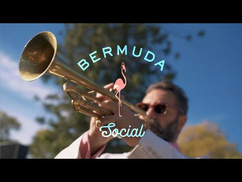 Bermuda Social, band in Sydney