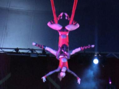 Setallite, aerialist in Brisbane