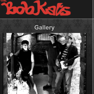 BobKats, band in Brisbane