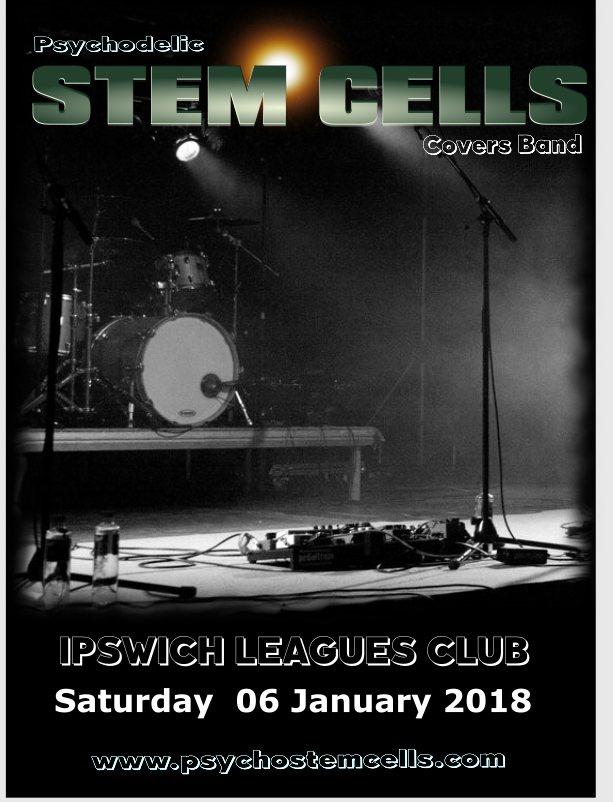 Psycho Stemcells, band in Brisbane