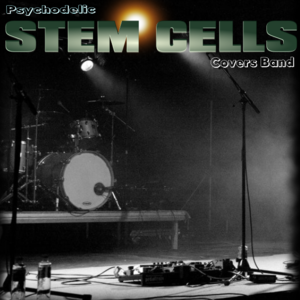 Psycho Stemcells, band in Brisbane, photo 2