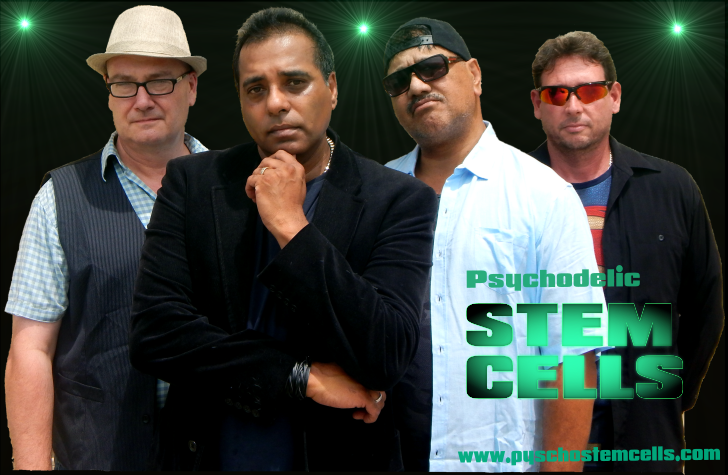 Psycho Stemcells, band in Brisbane, photo 3