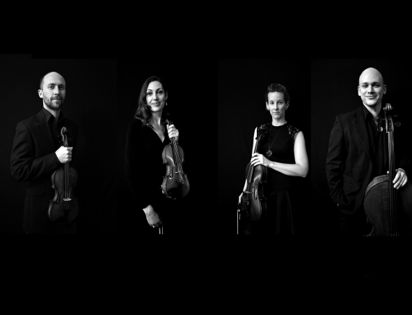 Brisbane Wedding Strings, string quartet in Brisbane, photo 2