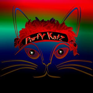 PartyKatz, cover band in Brisbane, photo 2