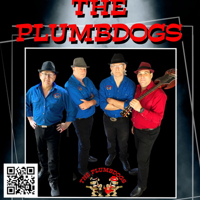 Plumbdogs, cover band in Brisbane, photo 2