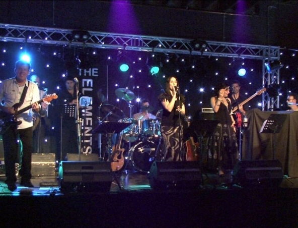 The Elements, cover band in Brisbane