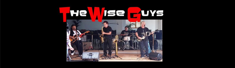 The Wise Guys, cover band in Brisbane, photo 3
