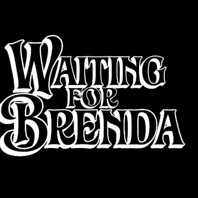 Waiting for Brenda, cover band in Brisbane, photo 2