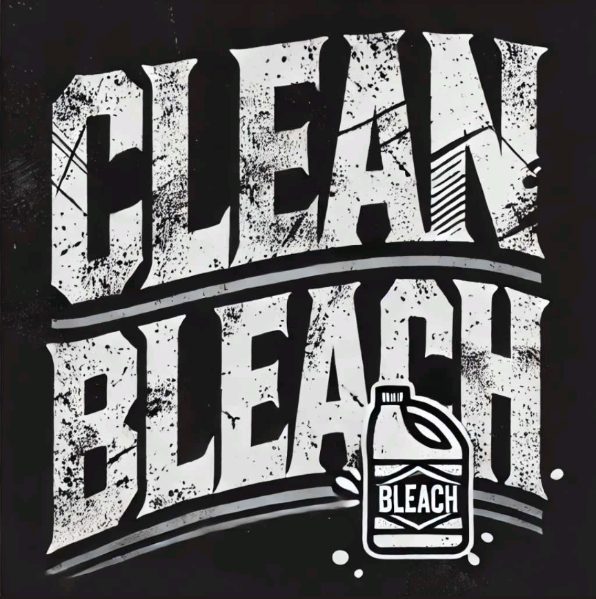 Clean/Bleach, cover band in Brisbane