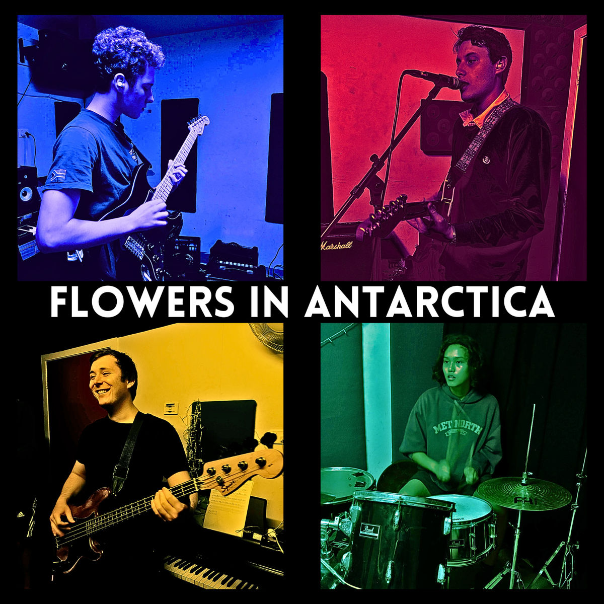 Flowers In Antarctica, cover band in Brisbane