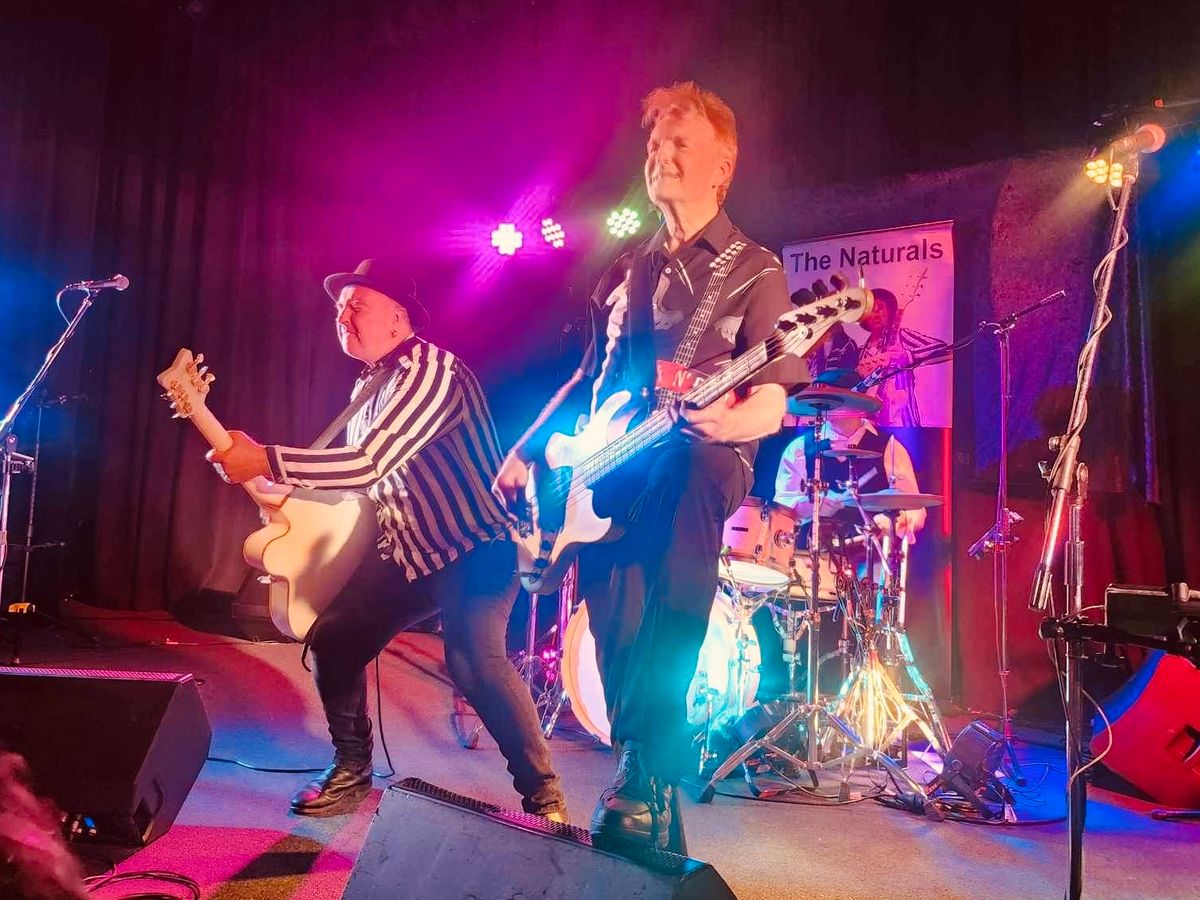 The Naturals, cover band in Brisbane