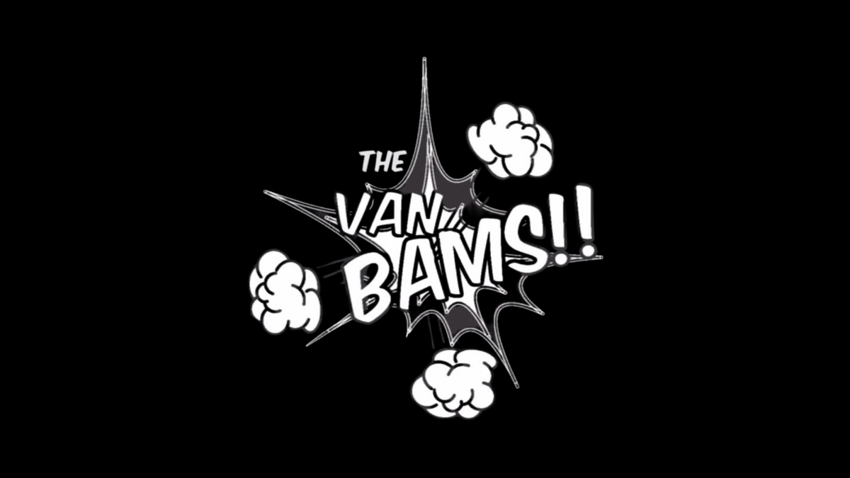 The Van Bams, cover band in Brisbane