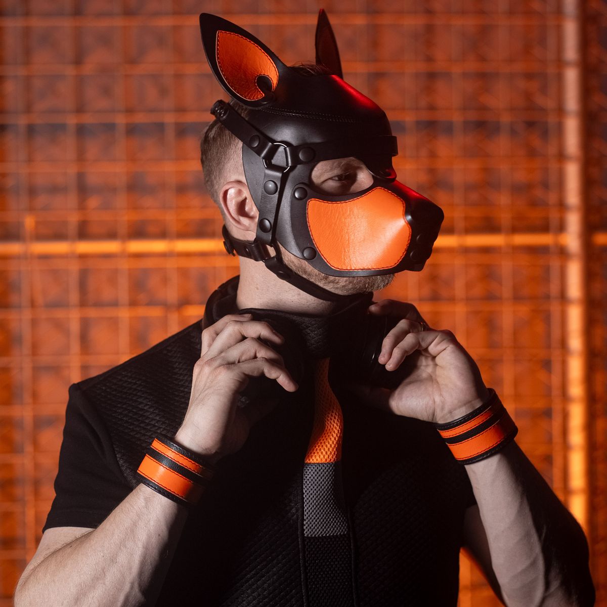 Pup Riff, dj in Brisbane