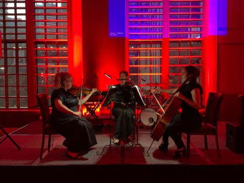 Angel strings, string ensemble in Brisbane