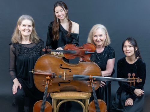 Paradiso Strings, string ensemble in Brisbane
