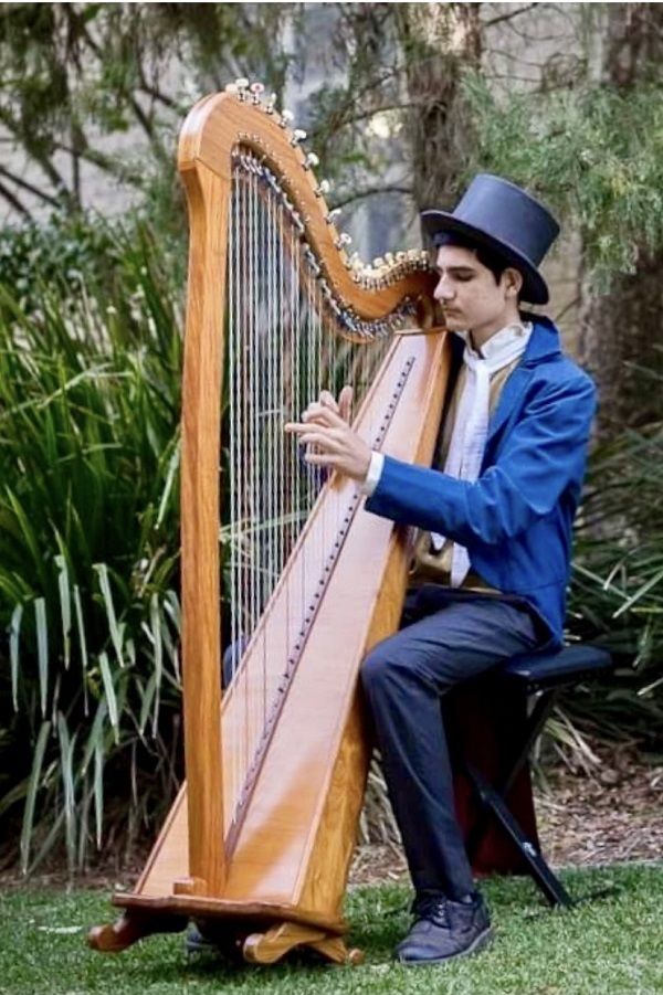 Harpist John, harp player in Brisbane