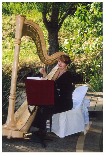 Janice Preece, harp player in Brisbane, photo 3