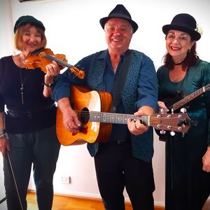 The Green Fields, celtic band in Brisbane, photo 2