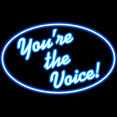 You're The Voice!, karaoke in Brisbane, photo 2