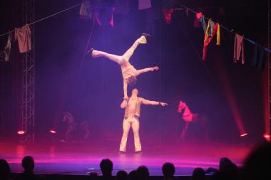 Disco Fever, partner acrobat in Brisbane, photo 2