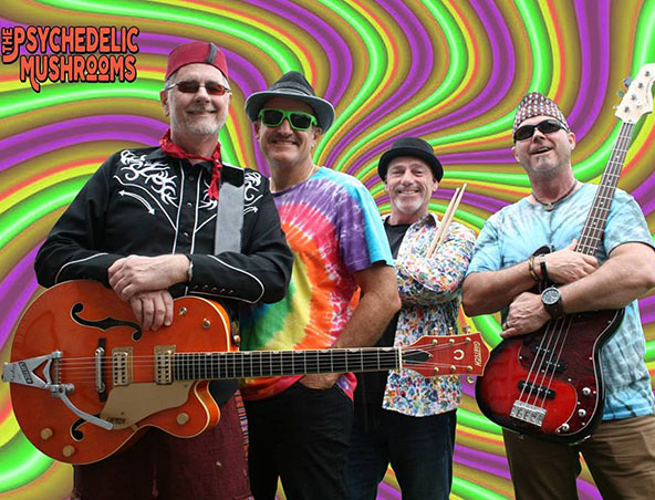 The Psychedelic Mushrooms, rock 'n' roll band in Brisbane