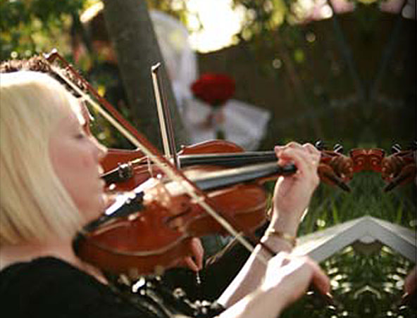 Stirling Strings, string quartet in Brisbane