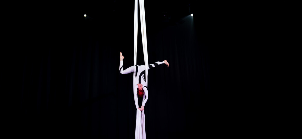 A Line In The Air, aerialist in Brisbane, photo 3