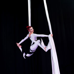 A Line In The Air, aerialist in Brisbane, photo 2