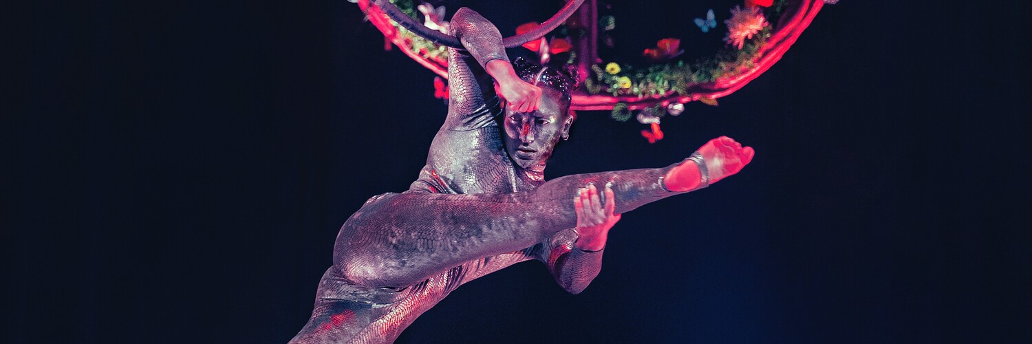 Orbit, acrobat in Brisbane, photo 3