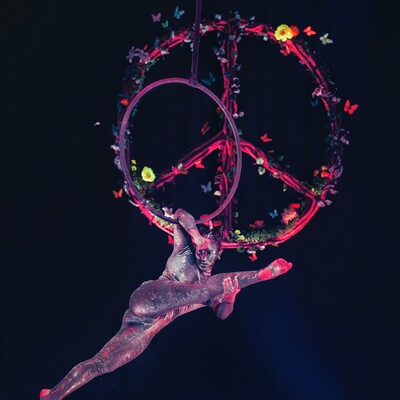 Orbit, acrobat in Brisbane, photo 2