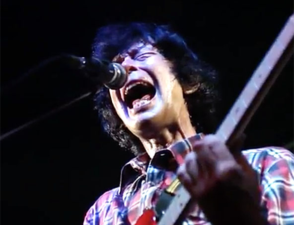 Creedence Clearwater Revival Tribute-1, tribute band in Brisbane
