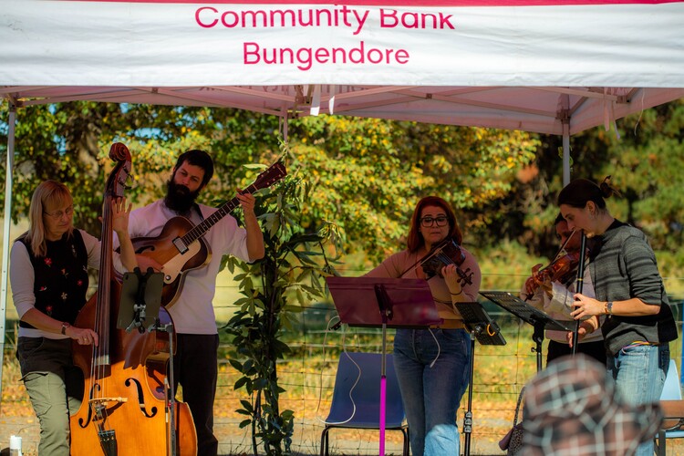 Celtic Folk, celtic band in Canberra, photo 3