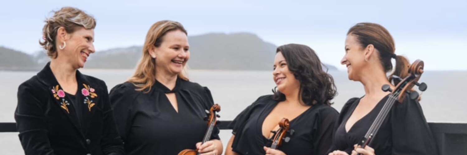 Dolce Strings, string quartet in Central Coast Council, photo 2