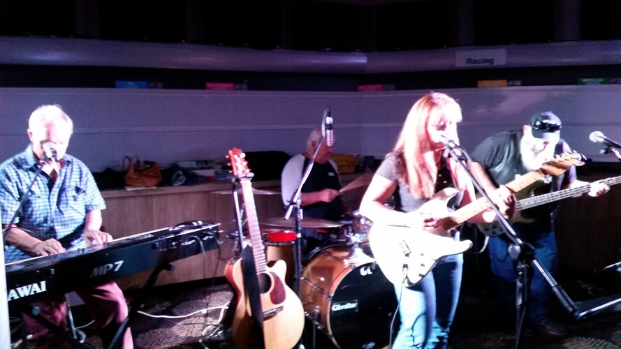 Cheryl Hall and the Wisemen, cover band, photo 3