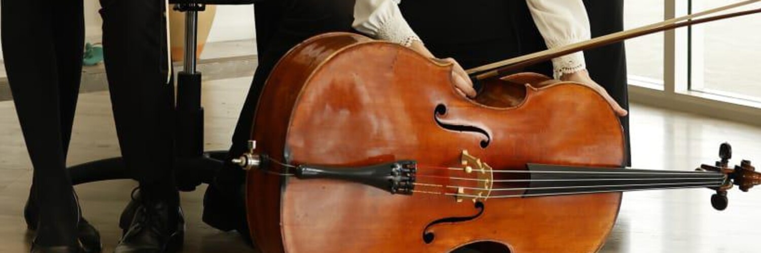 Horizon Strings, string quartet in Coffs Harbour, photo 3