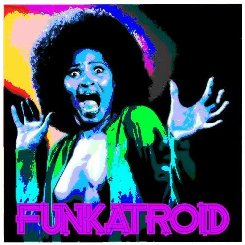 Funkatroid, cover band