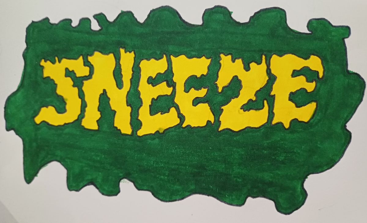 SNEEZE, cover band