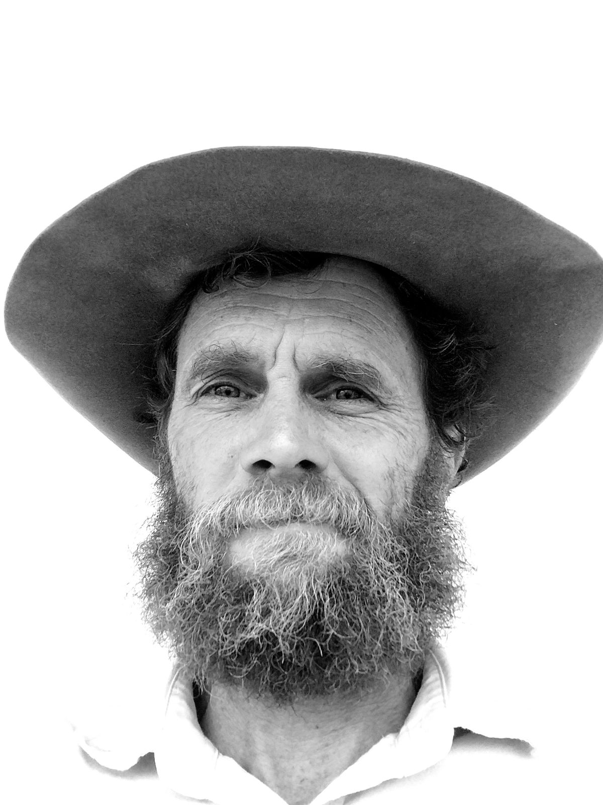 Dan Hannaford, singer-songwriter