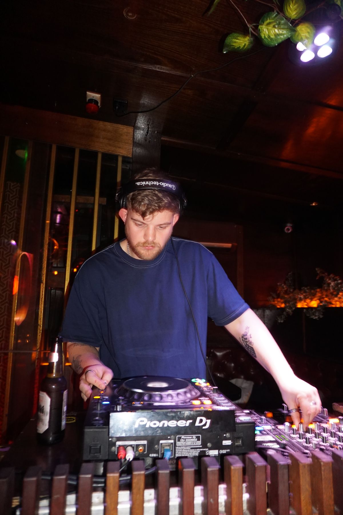 Angustora, dj