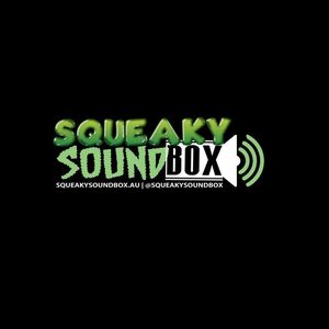 Squeaky Sound Box, cover band in Dubbo, photo 2