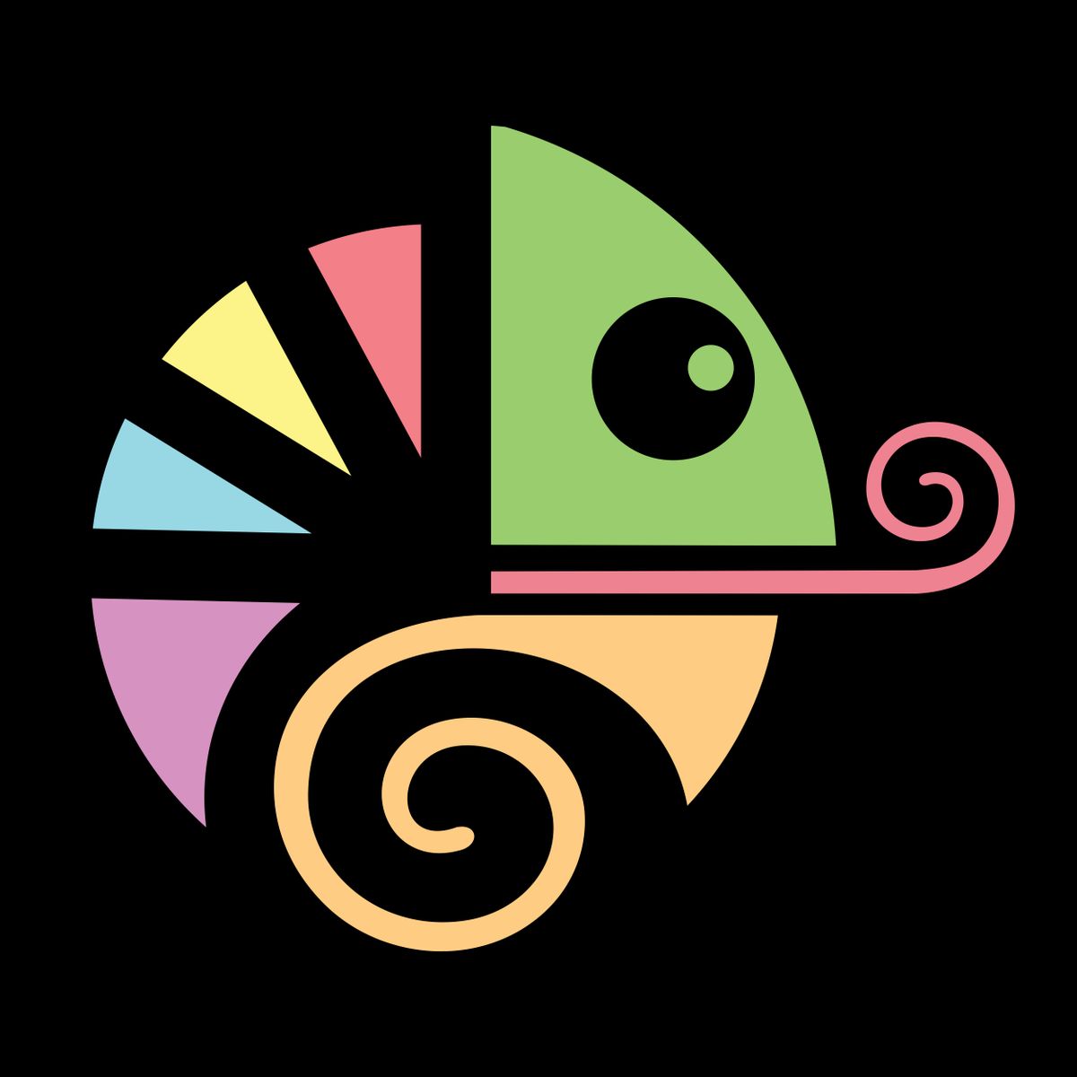 The Chameleonz Duo, musical duo