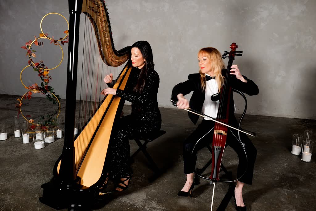 Etherea, harp and singer in East Warburton
