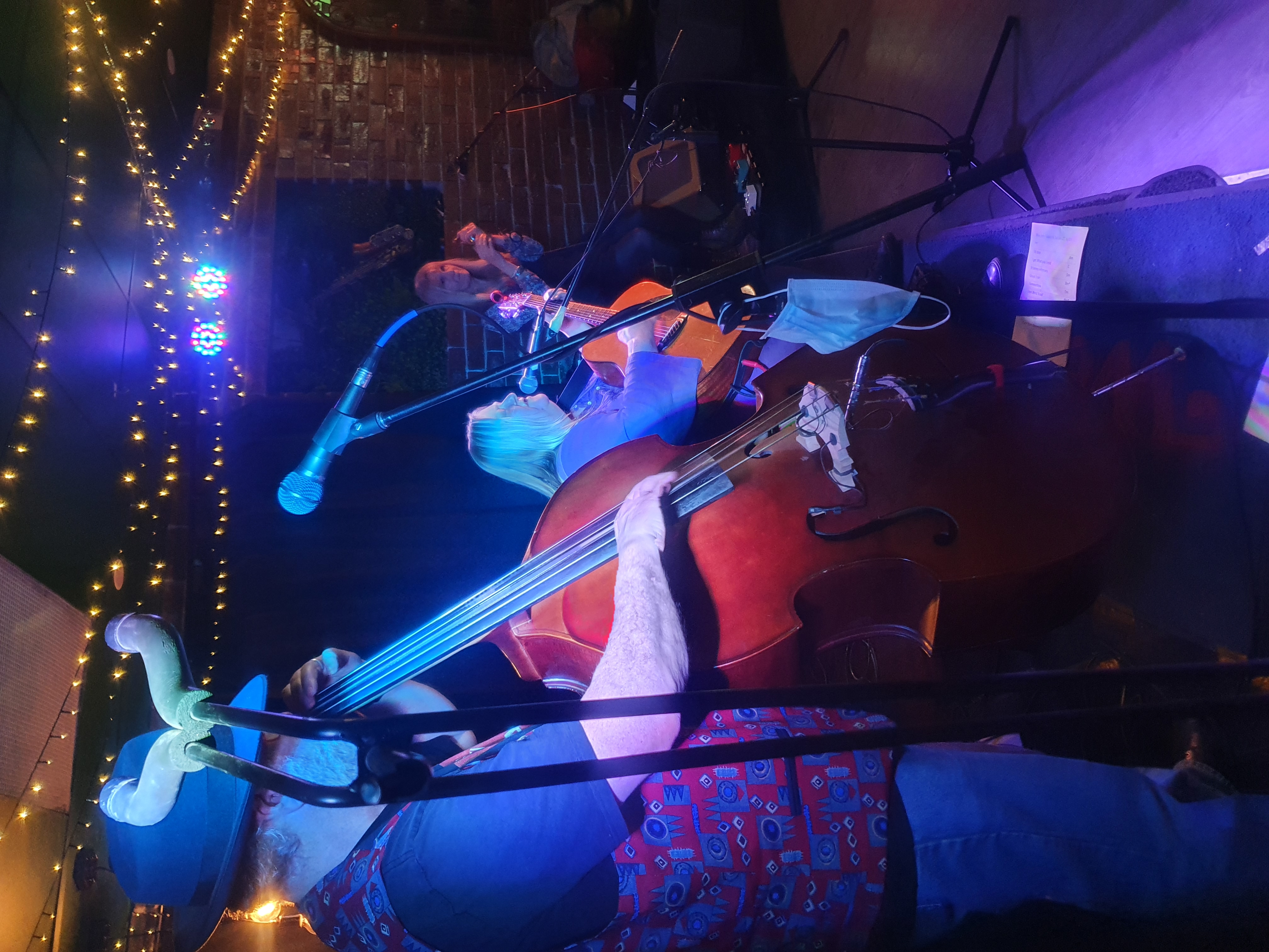 The Blue Jays, cover band in Geelong